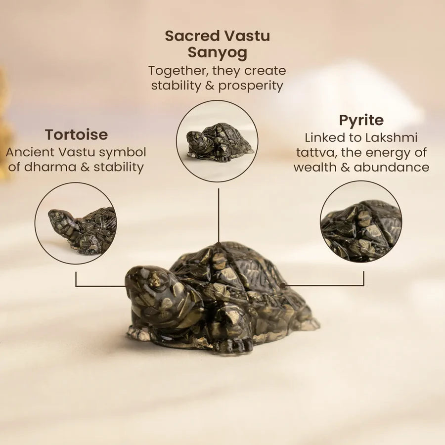 Pyrite Vastu Tortoise (Kachhua)