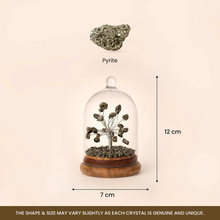 Pyrite Dome Tree