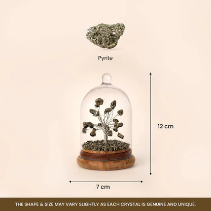 Pyrite Dome Tree