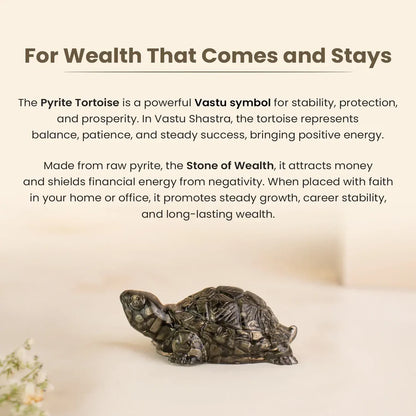 Pyrite Vastu Tortoise (Kachhua)