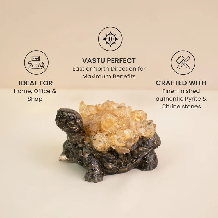 Pyrite Dhan Labh Tortoise