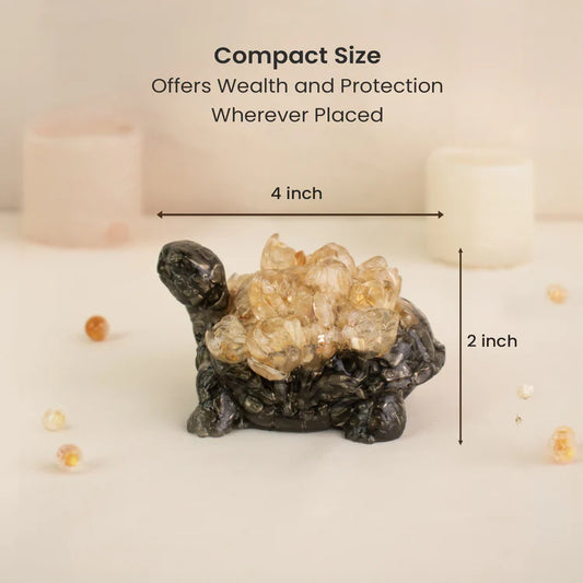 Pyrite Dhan Labh Tortoise